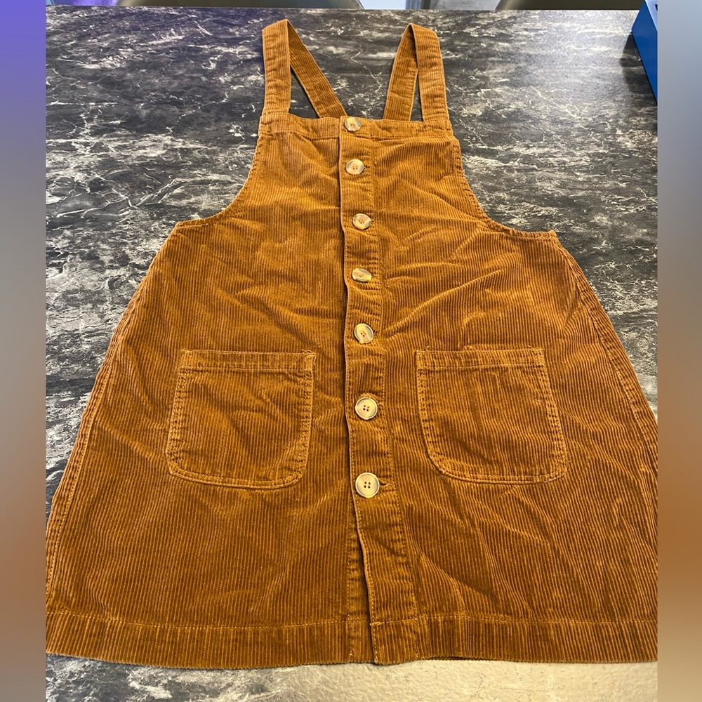 Blue Spice Rich Brown Corduroy Dress